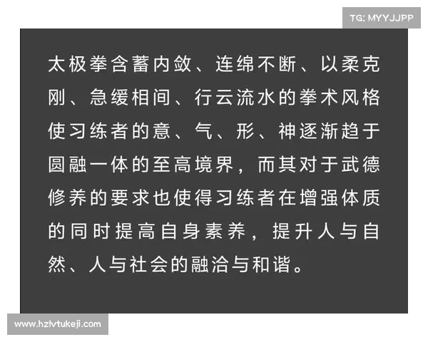 武当武术的历史传承与技艺精髓探析及其现代价值与影响 武当武术的历史传承与技艺精髓探析及其现代价值与影响